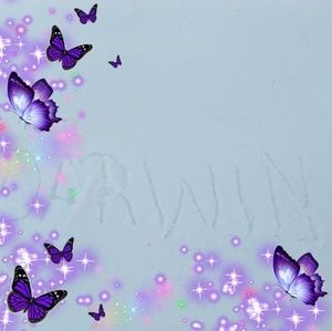 Meet your Posher, Darwin